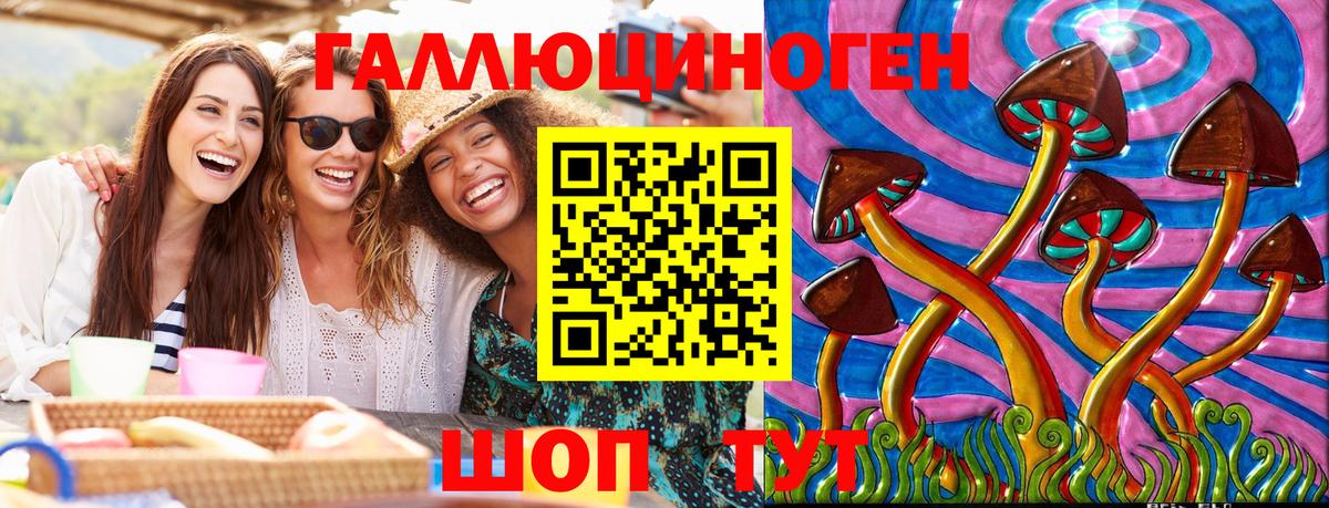 Псилоцибиновые грибы Psilocybine cubensis Семёнов