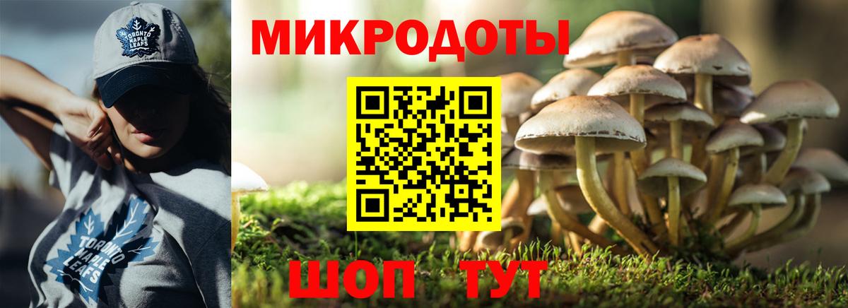 Семёнов  купить   Вход с VPN  Галлюциногенные грибы Psilocybe 